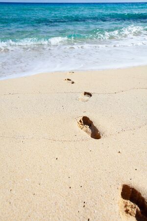 Footprints on the sunny beach  Perfect place for vacations の写真素材