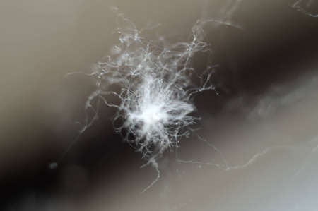 Abstraction from the cobwebs in the foregroundの写真素材