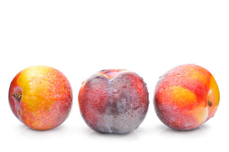Ripe plums on a white background, close-upの写真素材