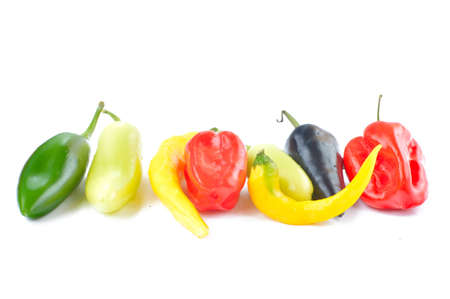 Multi-colored peppers on a white background, close-upの写真素材