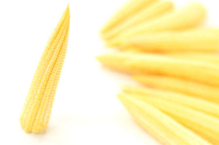 Baby corn on a white background, close-upの写真素材