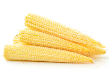 Baby corn on a white background, close-upの写真素材