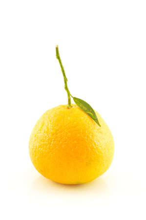 Tangerine with leaves on a white background close-upの写真素材
