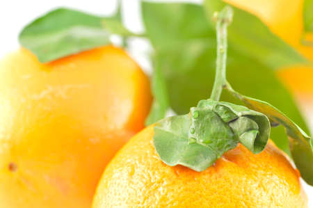 Orange with leaves on a white background close-up