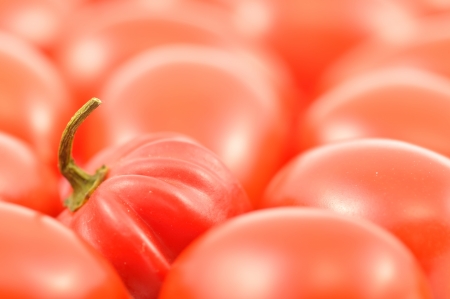 Scotch bonnet peppers and cherry tomatoes close-upの写真素材