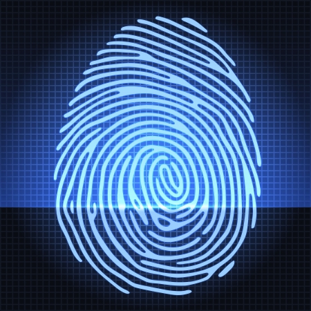 fingerprint identification system fingerprint identification system