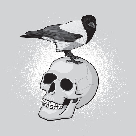 Crow Bird on the Human Skullのイラスト素材