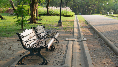 Empty wooden bench in the park on a sunny day.の写真素材