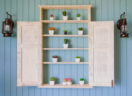 white wood shelf in front of blue wooden wall. Inside, there are cactus, ornamental spring flowers...
