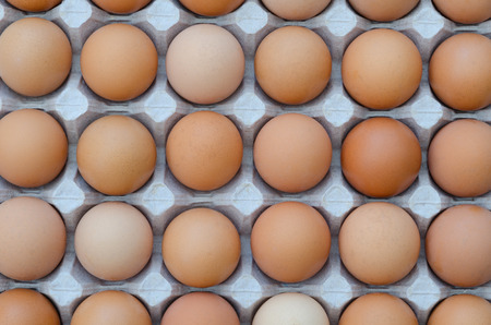 large group of eggs in a cardboard tray