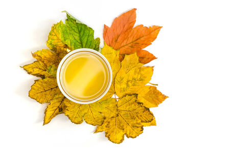 tea in a traditional cup standing on yellow maple leaves isolated on white backgroundの写真素材
