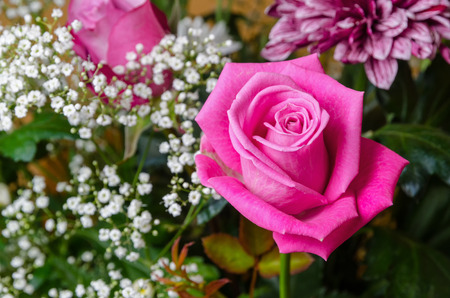 a pink rose in a flower bouquetの写真素材