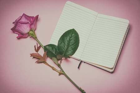 pink rose next to an open blank notebookの写真素材