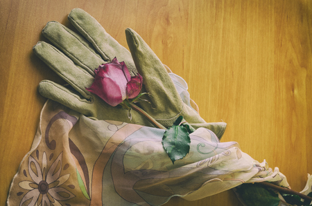 an overview of a rose lying on an elegant female gloveの写真素材