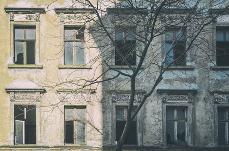 Bare tree in front of partially sunlit old abandoned deteriorating building. Vintage filter effects.の写真素材