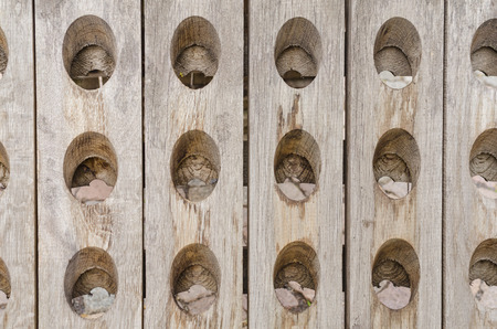 background of wooden boards assembled together with oval shaped holes building a regular patternの写真素材