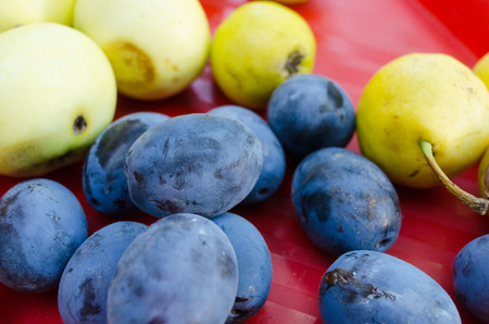 close-up of green apples, blue plums and yellow pears on a red boardの写真素材