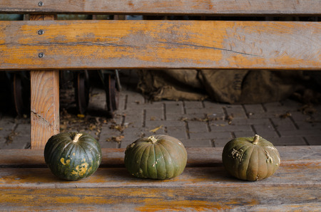 three green pumpkins on a wooden bench in rustic barnの写真素材