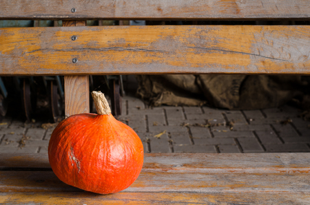 orange pumpkin on a wooden bench in rustic barnの写真素材