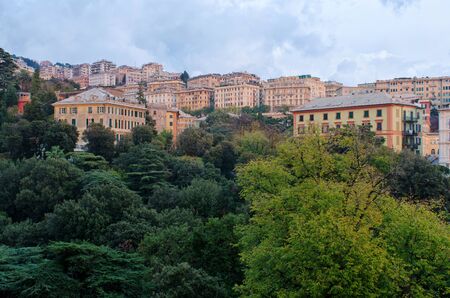Building of Genoa, Italy, over the trees of the city in autumn.の写真素材