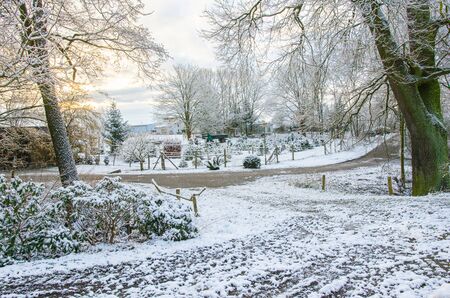 beautiful winter morning in the countrysideの写真素材