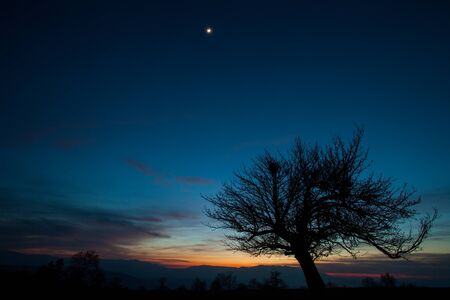 Tree shadow on sunset and blue sky