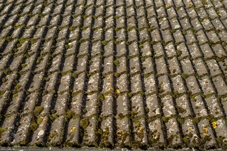 Mosses on the roof. Roof tiles with green moss growing on them.の写真素材