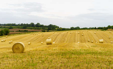 Bales of fields in UK, Warwickshire
