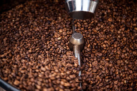 Turkish Raw Coffee