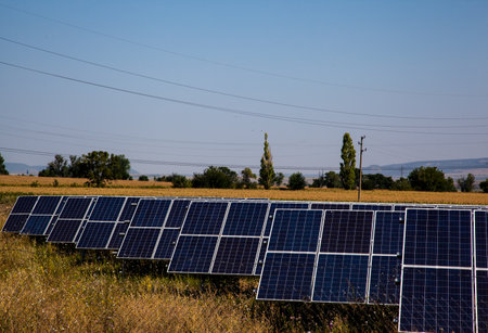Renewable electricity concept Solar Panels