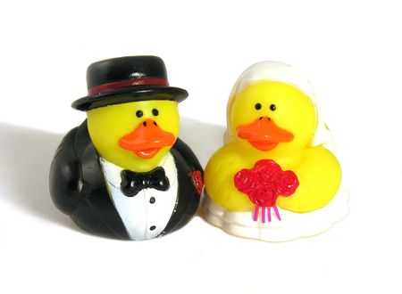 Mr and Mrs Duckの写真素材