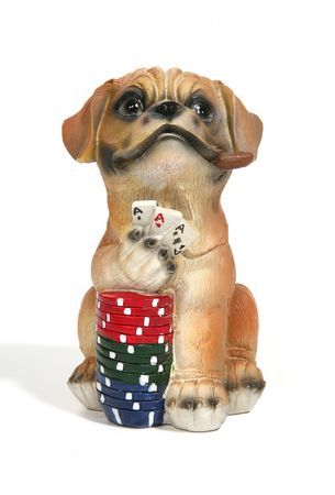Dog playing cards and gamblingの写真素材
