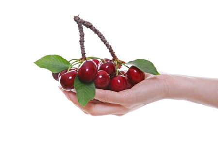 A woman holding a group of fresh colorful cherries on a small branch