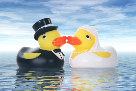 Toy duck couple getting married at a ocean weddingの写真素材
