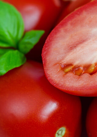 Tomatoes, close up  Selective focusの写真素材