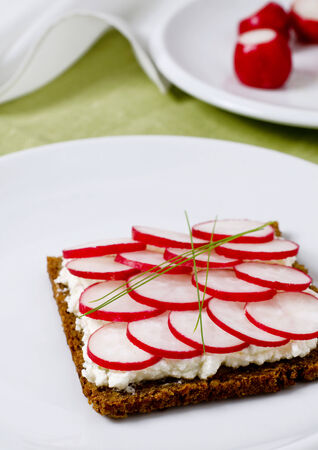 Sandwich with radish and cottage cheeseの写真素材