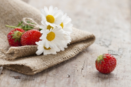 Daisies and strawberriesの写真素材