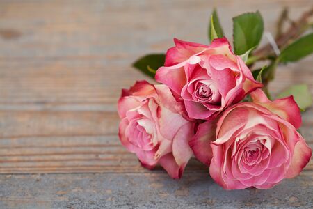 Pink roses on wooden backgroundの写真素材