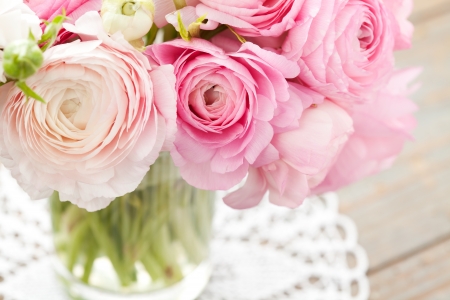 Pink ranunculus in vaseの写真素材