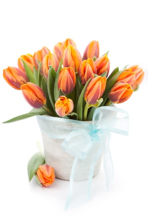 Bunch of orange tulips in vase on white backgroundの写真素材