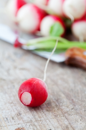 Fresh redish on wooden backgroundの写真素材