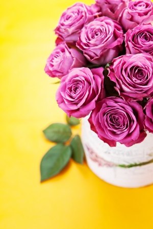 Bouquet of beautiful pink roses isolated on yellow
の写真素材