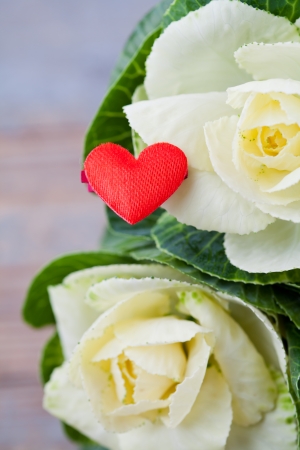 Valentine concept  white flowers and heart decorationの写真素材