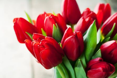 Valentine's day concept:  bunch of red tulipsの写真素材