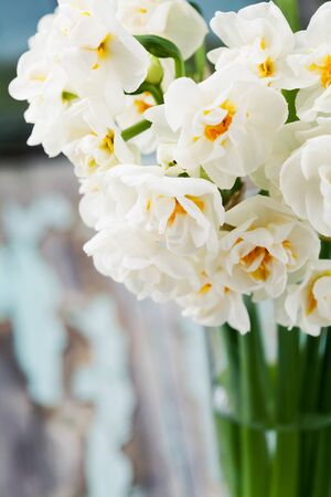 Beautiful bouquet of bridal daffodils on old wooden tableの写真素材