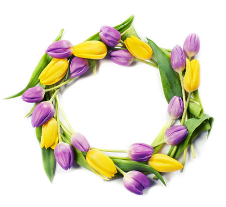 Flower wreath with yellow and purple tulips on whiteの写真素材