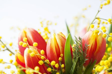 Bright spring bouquet of tulips and mimosa flowers on whiteの写真素材
