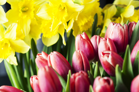 Bouquet of daffodils and pink tulips, background