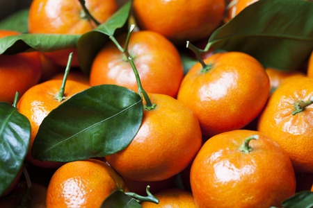 Close up of fresh tangerines heap, backgroundの写真素材