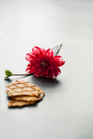 Pieces of waffle and red dahlia flowerの写真素材